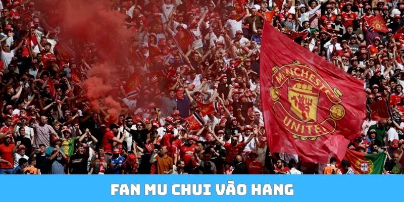 Fan MU chui vào hang