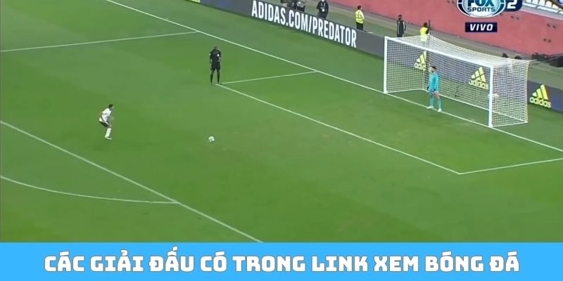 Các giải đấu có trong link xem trực tiếp bóng đá