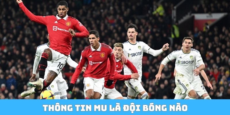 Thông tin MU là đội bóng nào