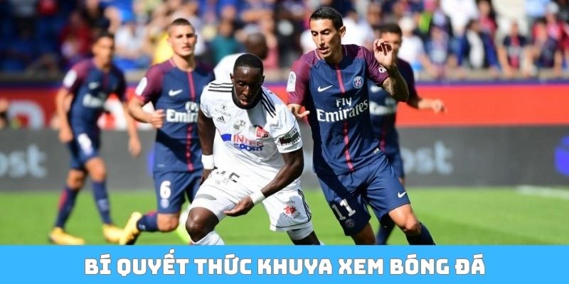 Bí quyết thức khuya xem bóng đá nhưng vẫn tỉnh táo